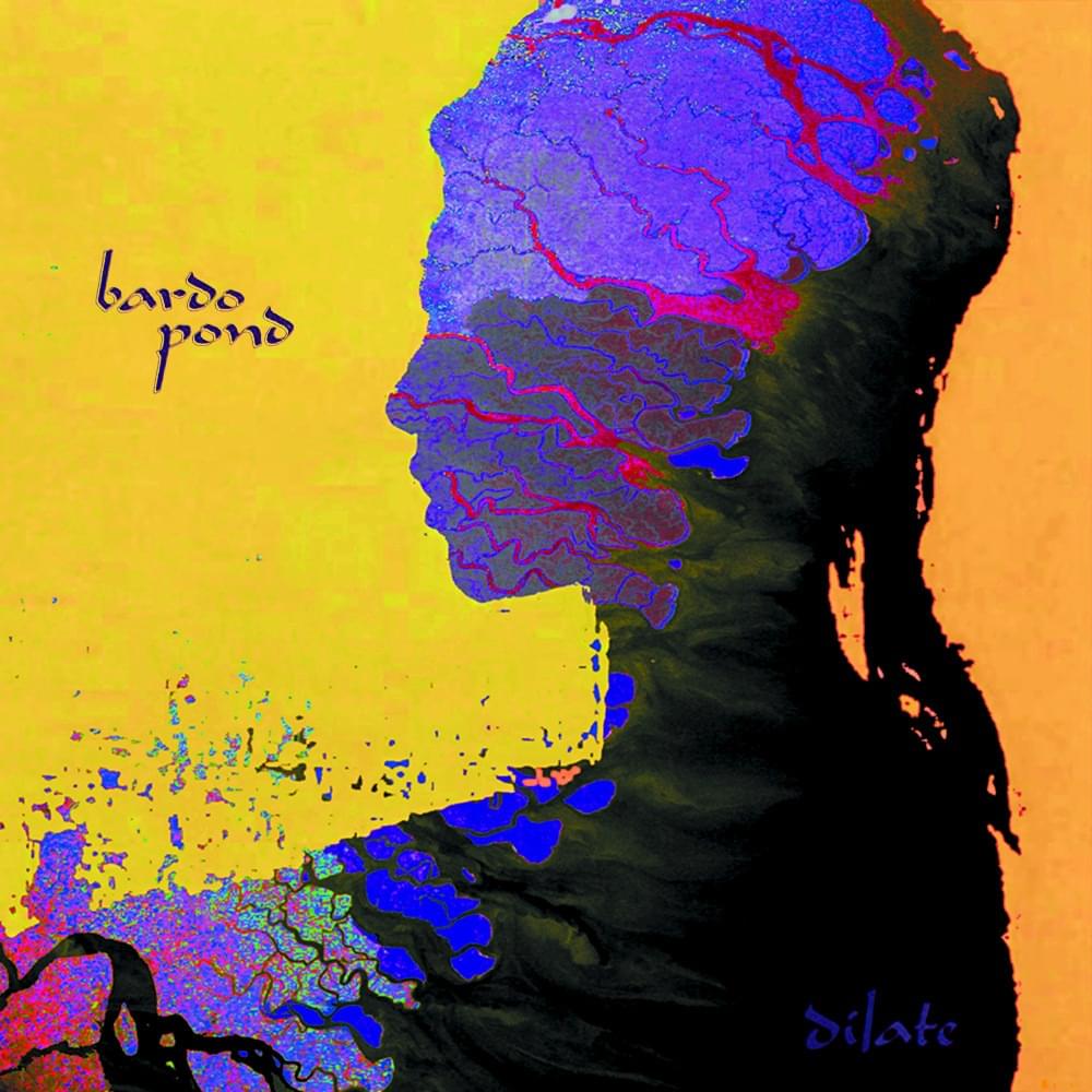 Album cover art for "Inside" by Bardo Pond