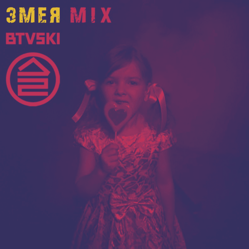 Cover image for Змея (Snake) BTVSKI Mix - Single