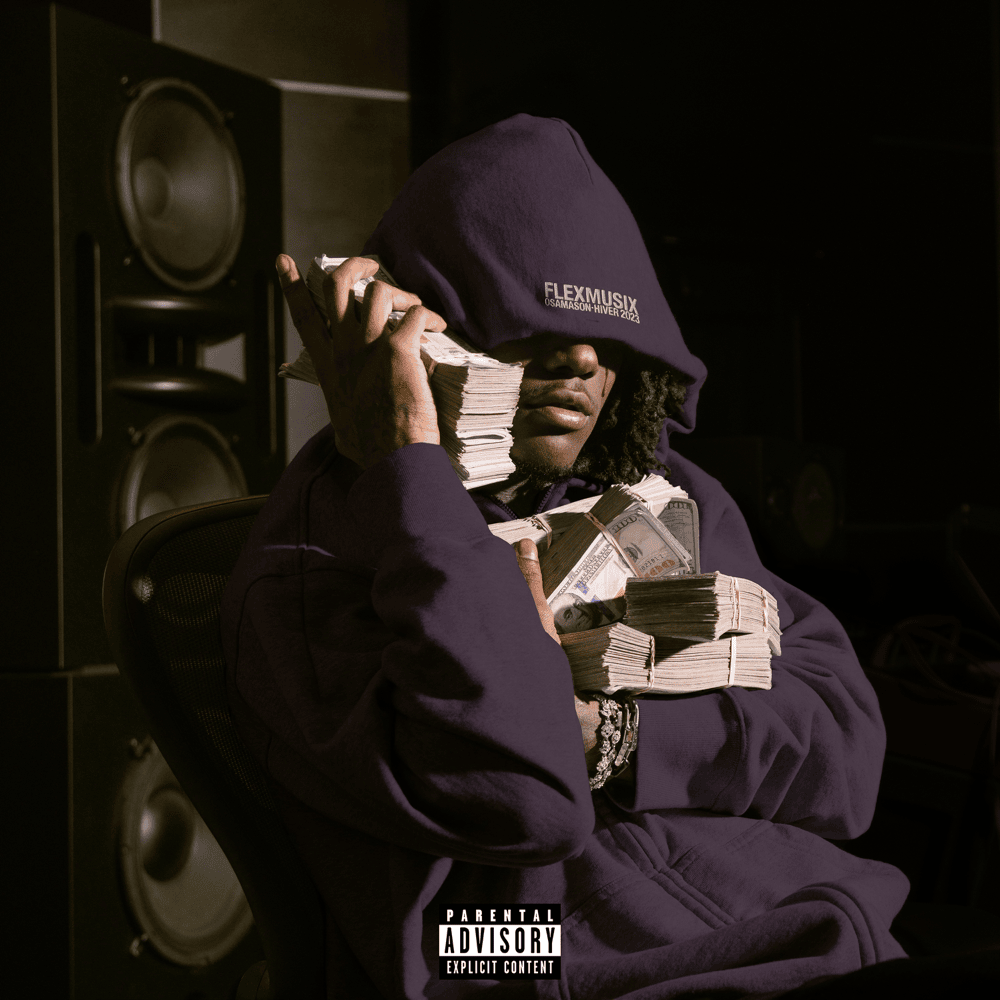 Cover image for Flex Musix (FLXTRA)