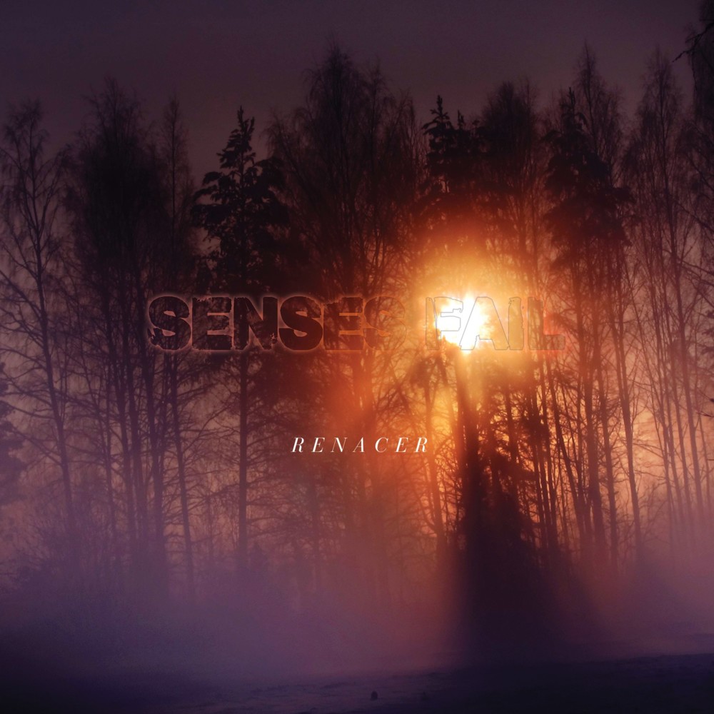 Cover image for Renacer