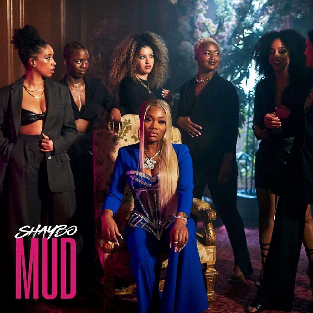 Album cover art for "Mud" by Shaybo