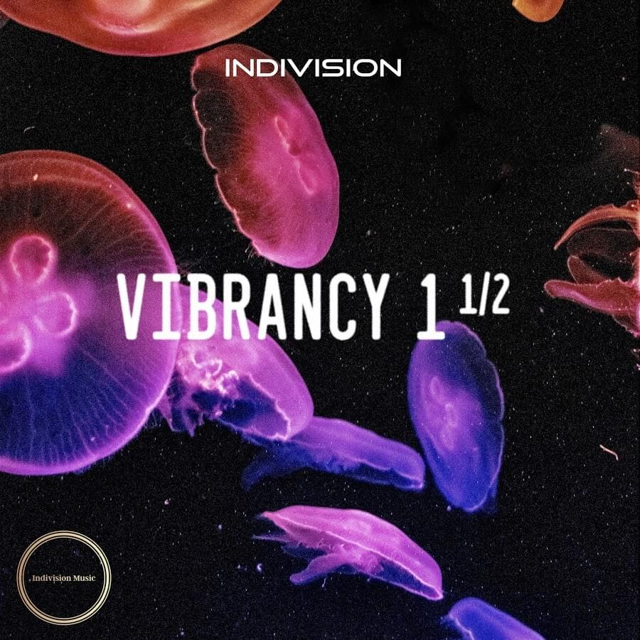 Cover image for Vibrancy 1½