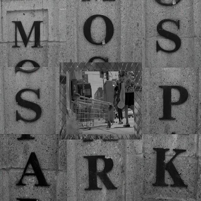 Album cover art for "Moss Park" by Rare Americans