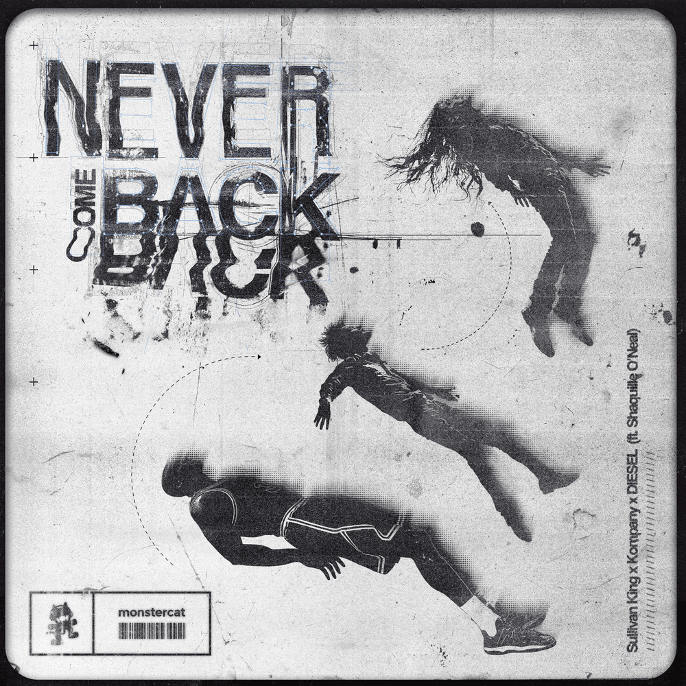 Cover image for Never Come Back
