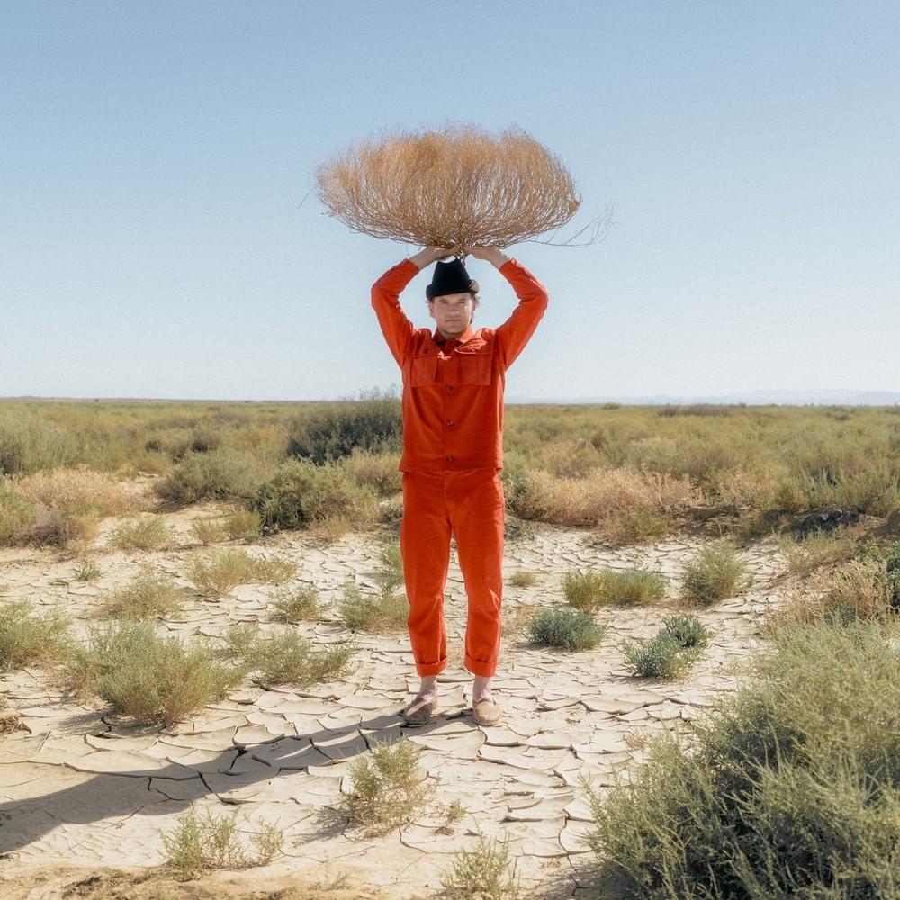 Album cover art for "Rolling Man" by St. Lucia