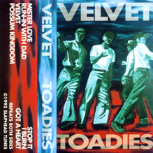 Cover image for Velvet