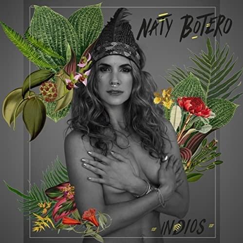 Cover image for Indios