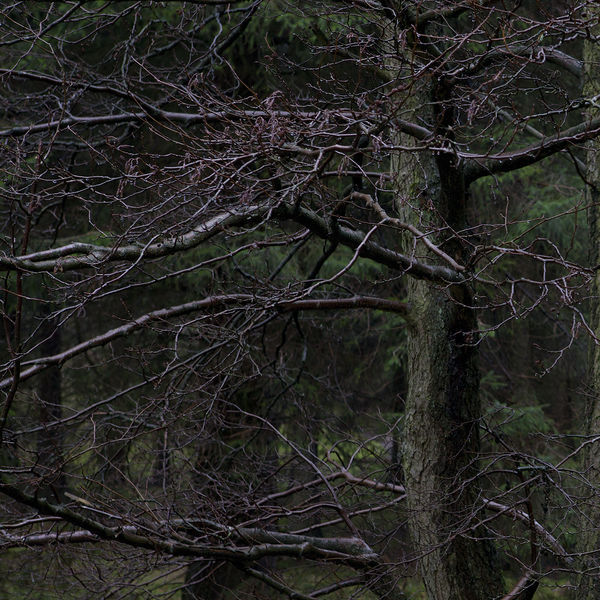 Album cover art for "Never Awake" by Drenge