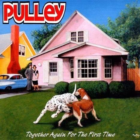 Runaway by Pulley