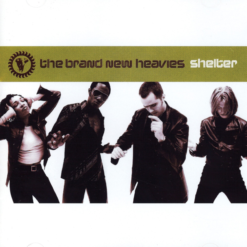 Cover image for Shelter