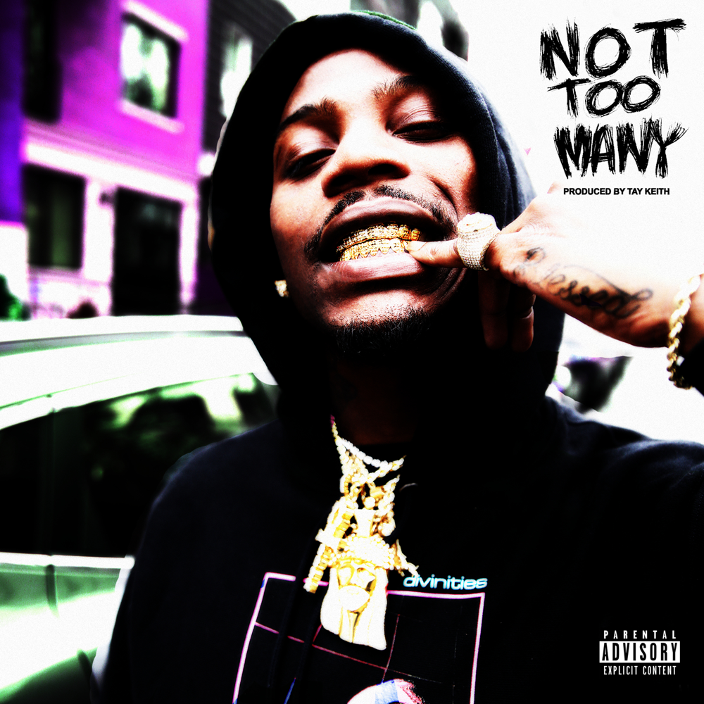Album cover art for "Not Too Many" by Flipp Dinero