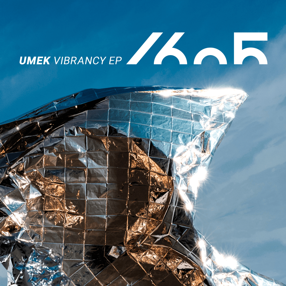 Cover image for Vibrancy (Single)