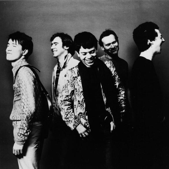 Cover image for The Members
