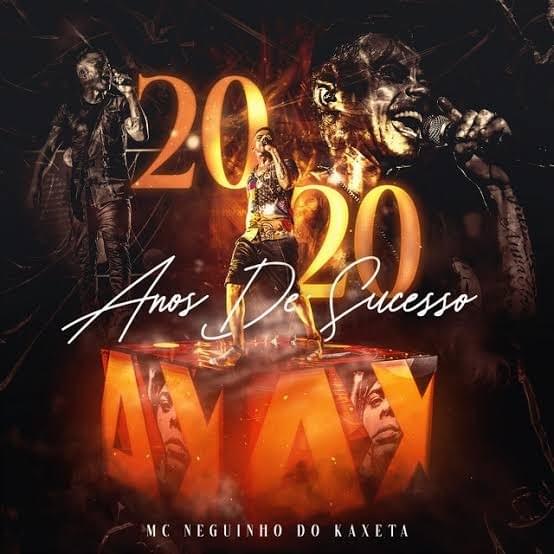 Cover image for NK 20 de Sucesso (Ao Vivo)