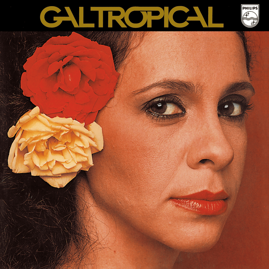 Album cover art for "Noites Cariocas (Minhas Noites Sem Sono)" by Gal Costa
