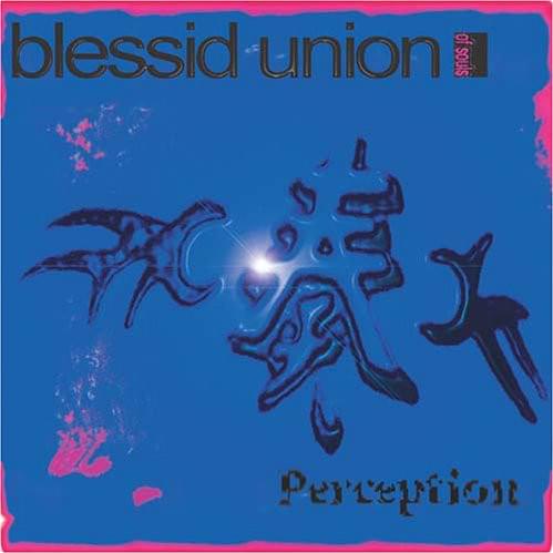 Cover image for Perception