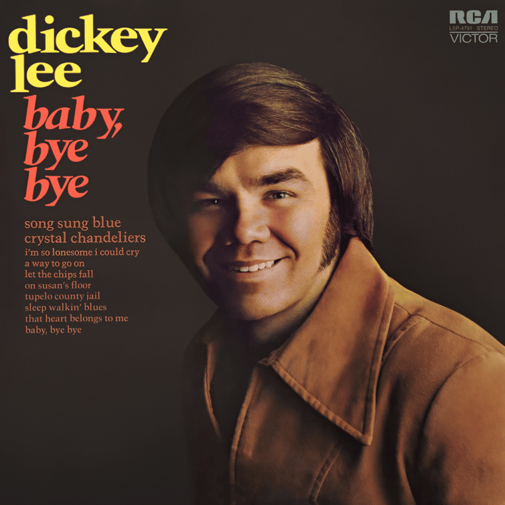 Cover image for Baby, Bye Bye