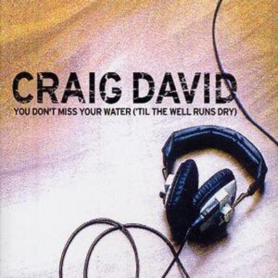 Album cover art for "You Don’t Miss Your Water (’Til the Well Runs Dry)" by Craig David