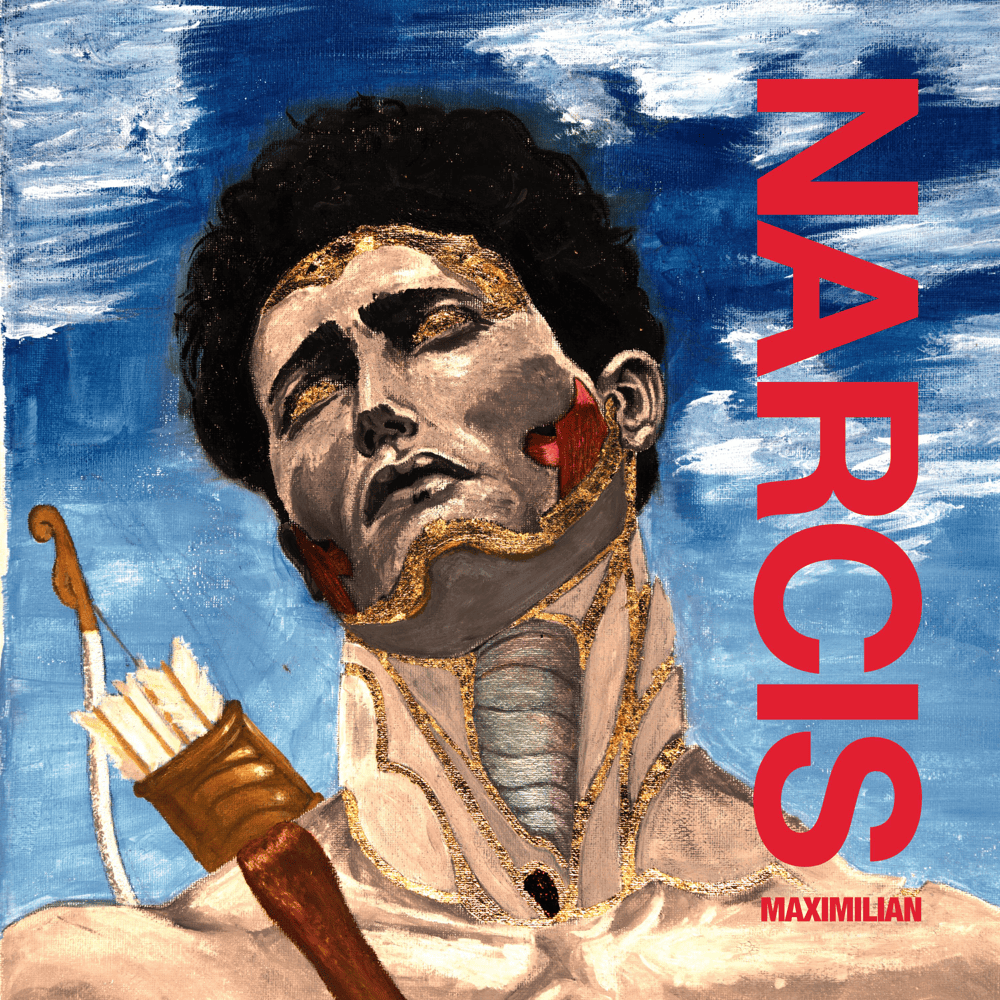 Cover image for NARCIS