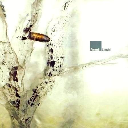 Cover image for Liquid