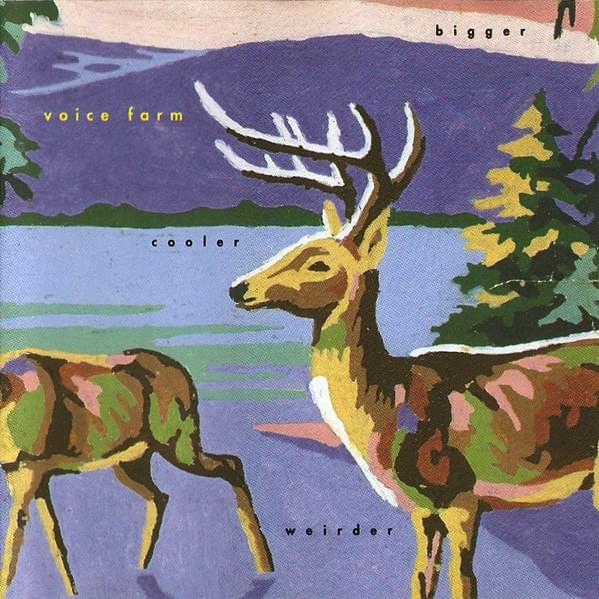 Cover image for Bigger Cooler Weirder (1991 Version)