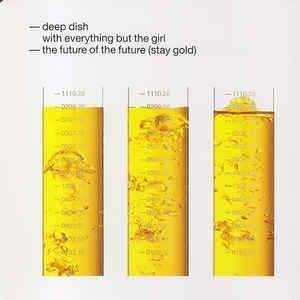 Cover image for The Future of the Future (Stay Gold) - Single
