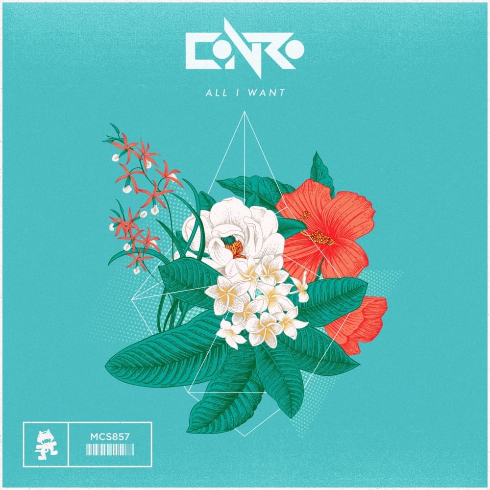 Album cover art for "All I Want" by Conro