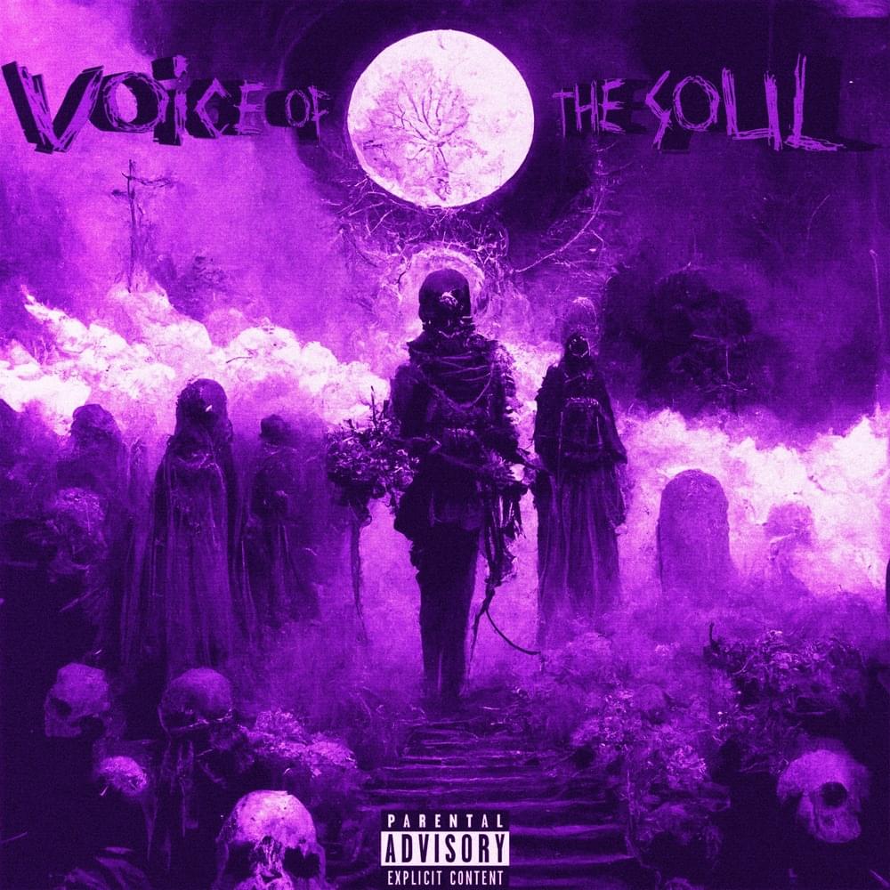 Cover image for VOICE OF THE SOUL