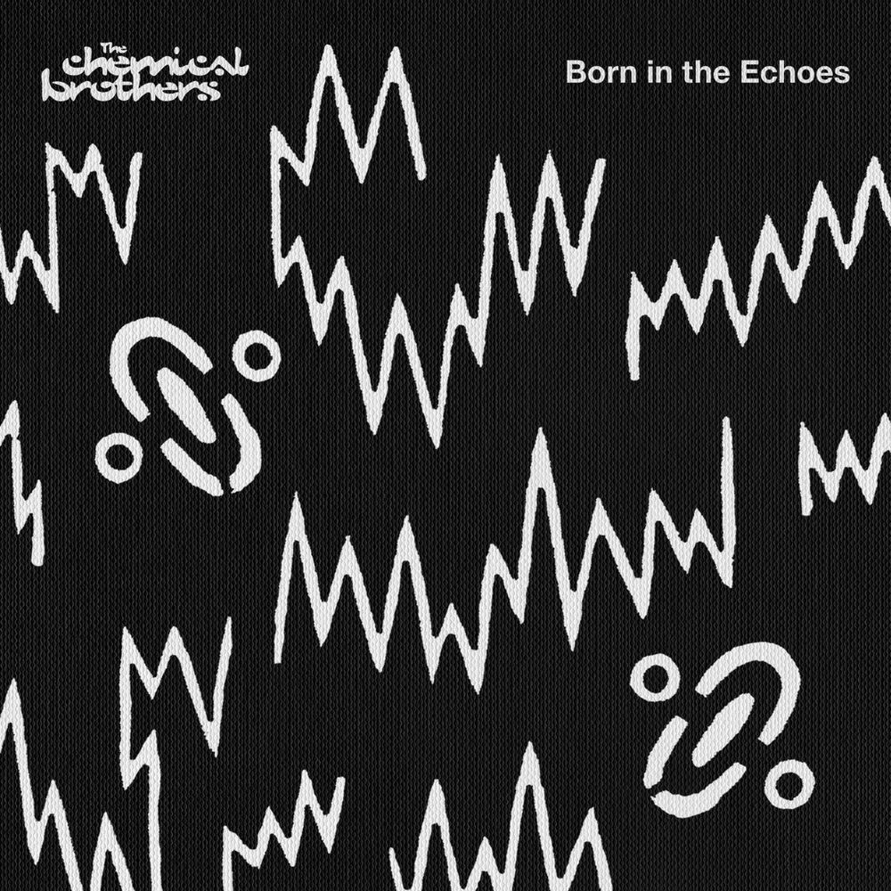 Cover image for Born in the Echoes