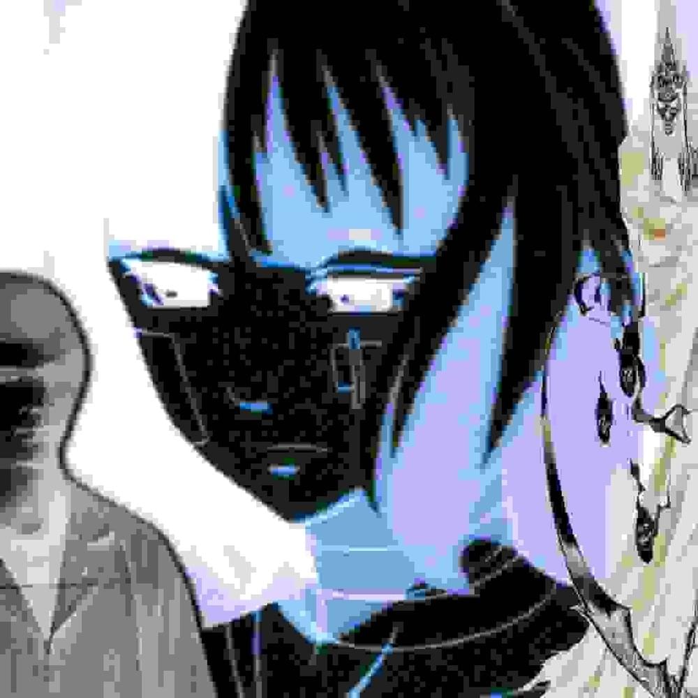 Album cover art for "Lay Low RIPPERMIX" by Sunshine Christo & Swampkill