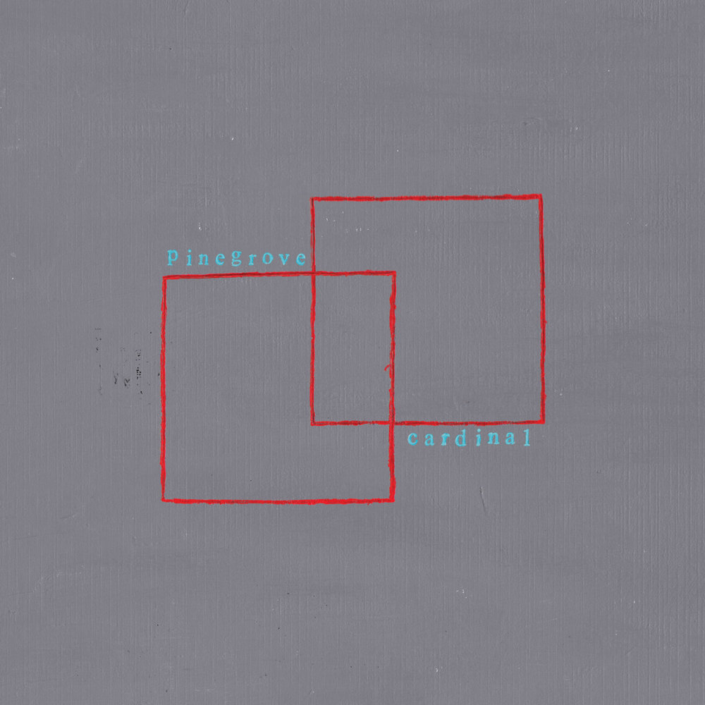 Album cover art for "Old Friends" by Pinegrove