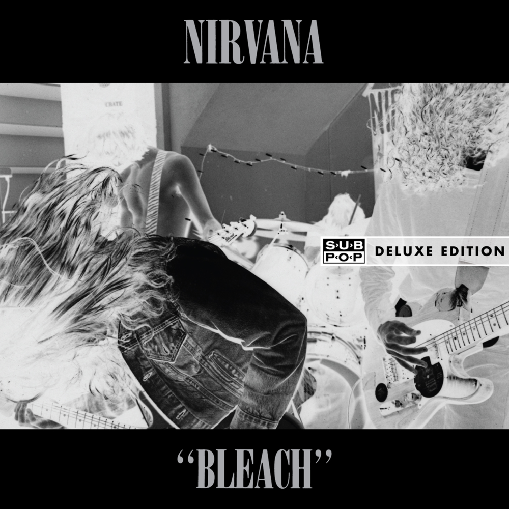 Cover image for Bleach: Deluxe Edition