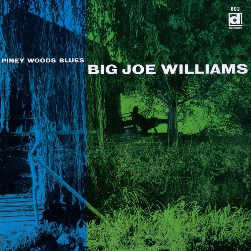 Album cover art for "Baby, Please Don’t Go" by Big Joe Williams