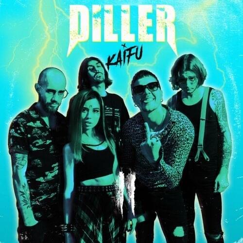 Cover image for Diller Kaifu II
