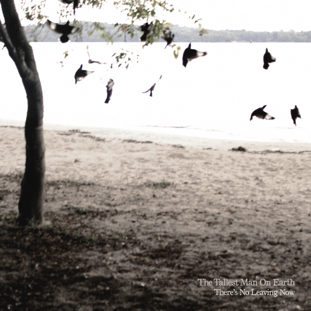 Album cover art for "Leading Me Now" by The Tallest Man On Earth
