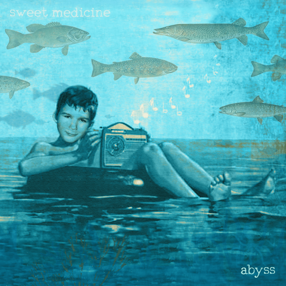 Cover image for Abyss