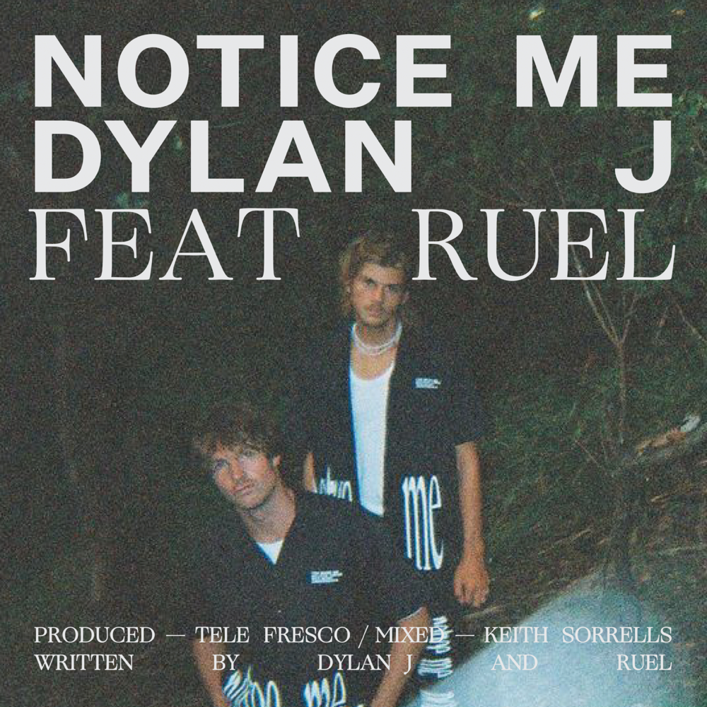 Notice Me by Dylan J