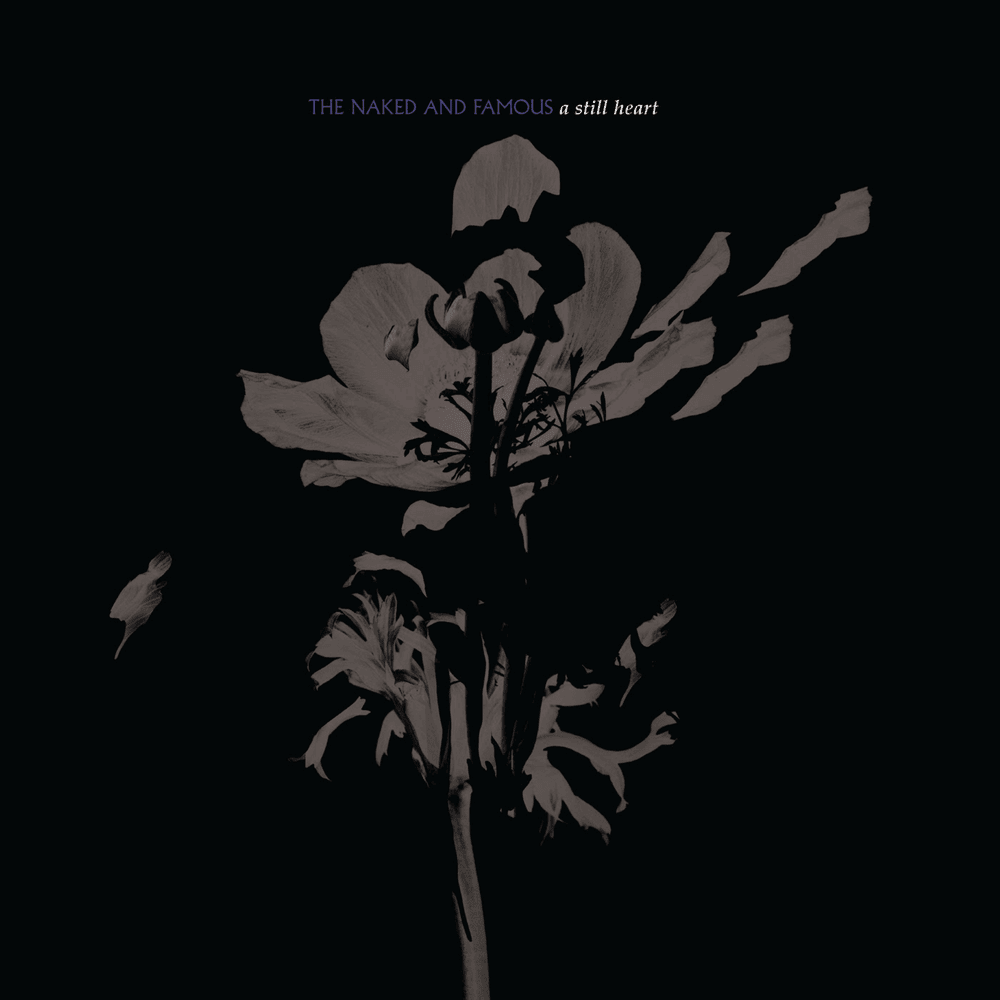 Album cover art for "A Still Heart" by The Naked and Famous