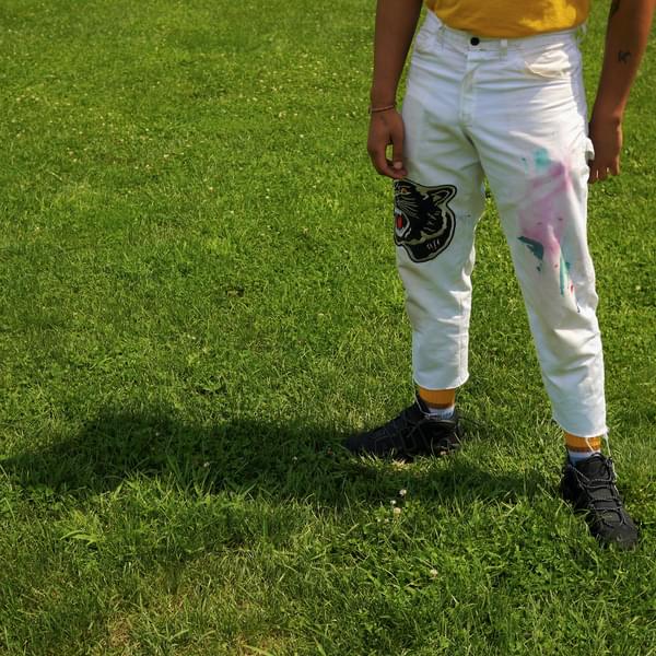 Album cover art for "stet" by milo