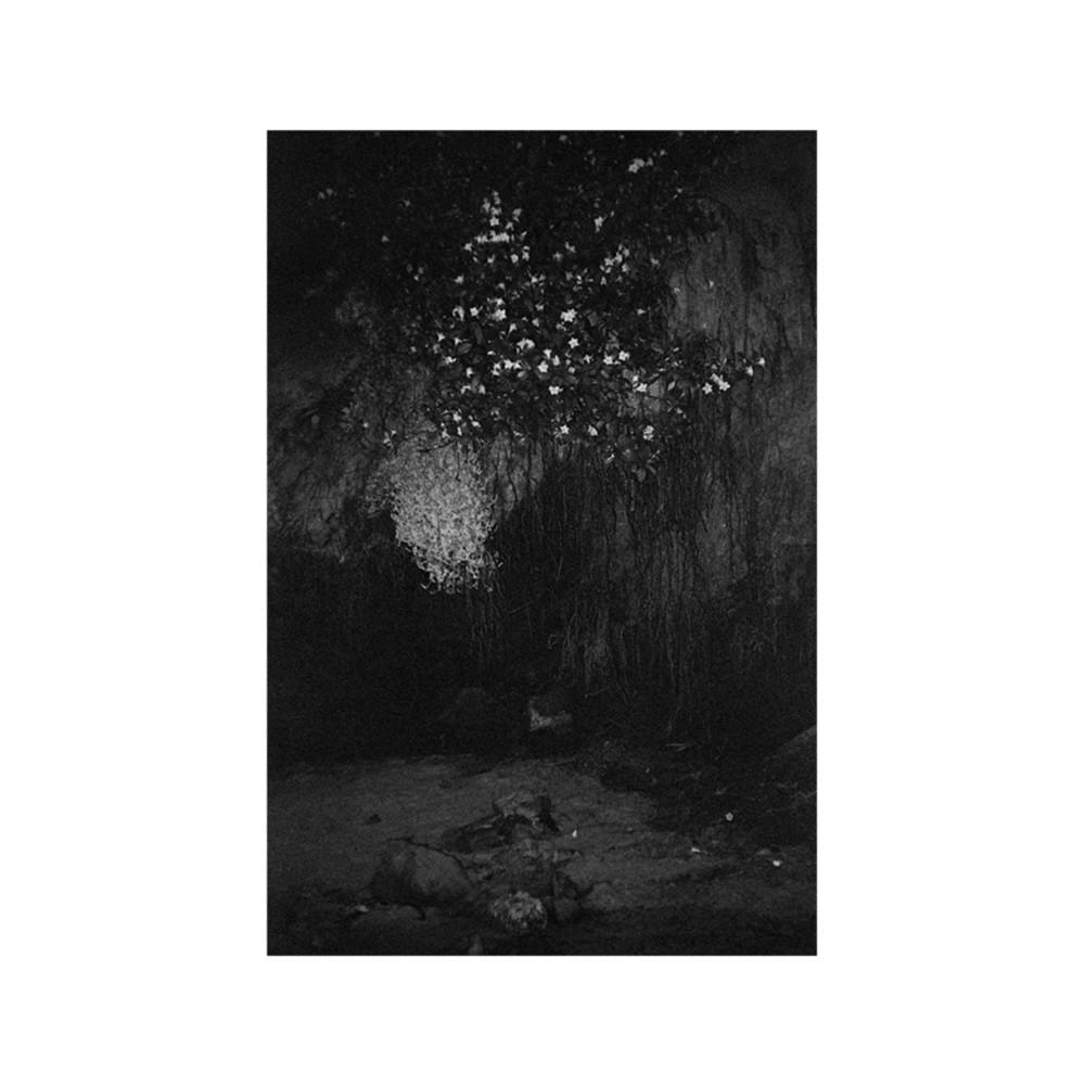 Cover image for Glass EP