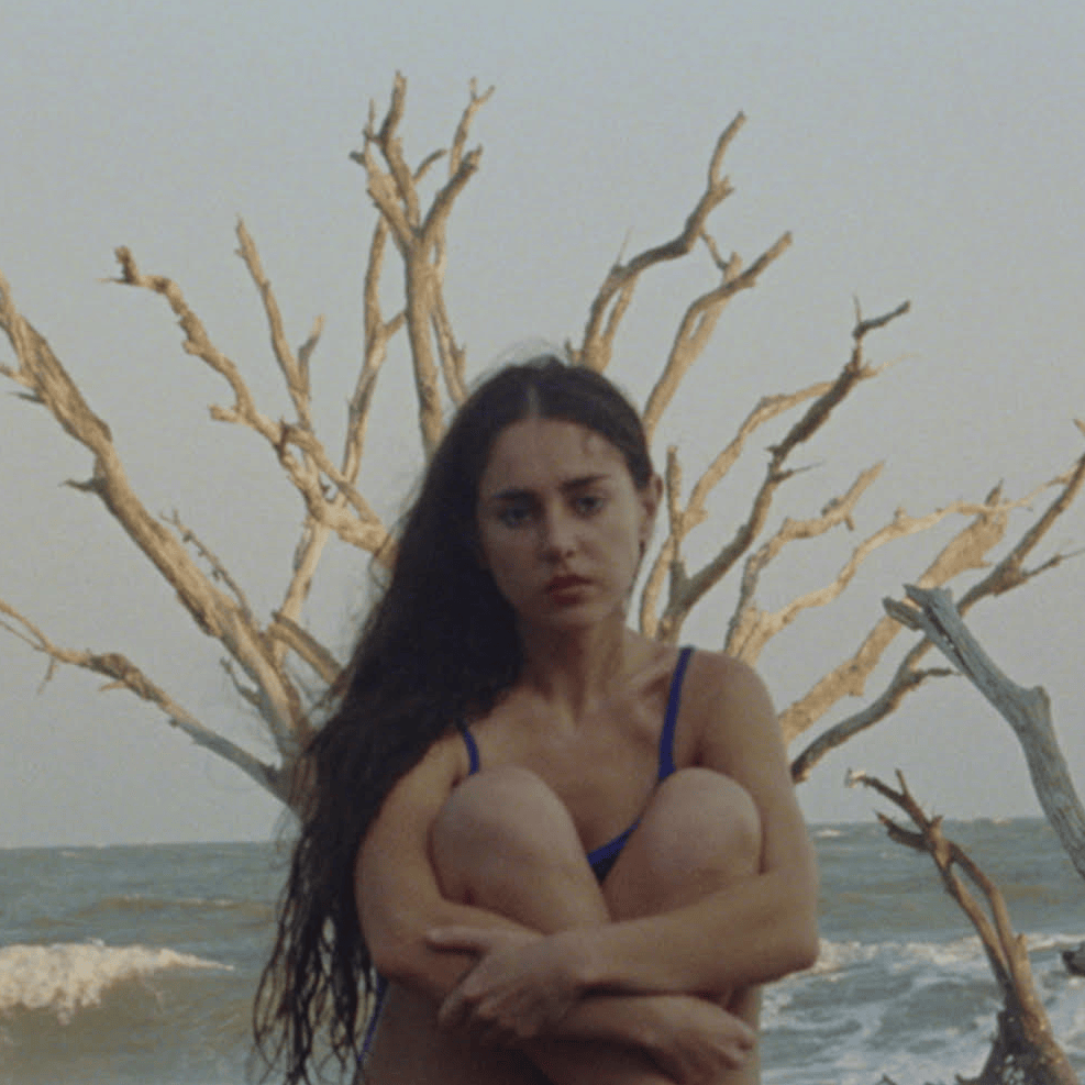 Cover image for Samia