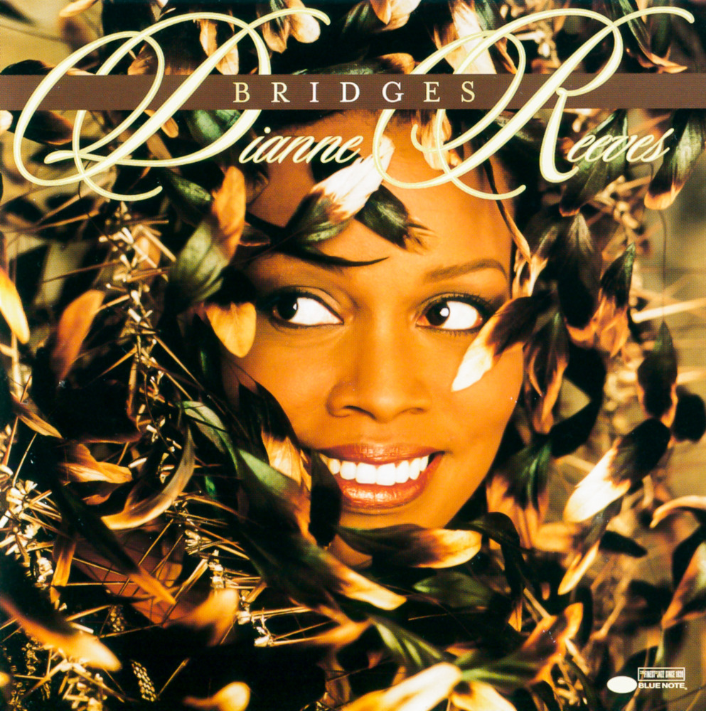 Cover image for Bridges