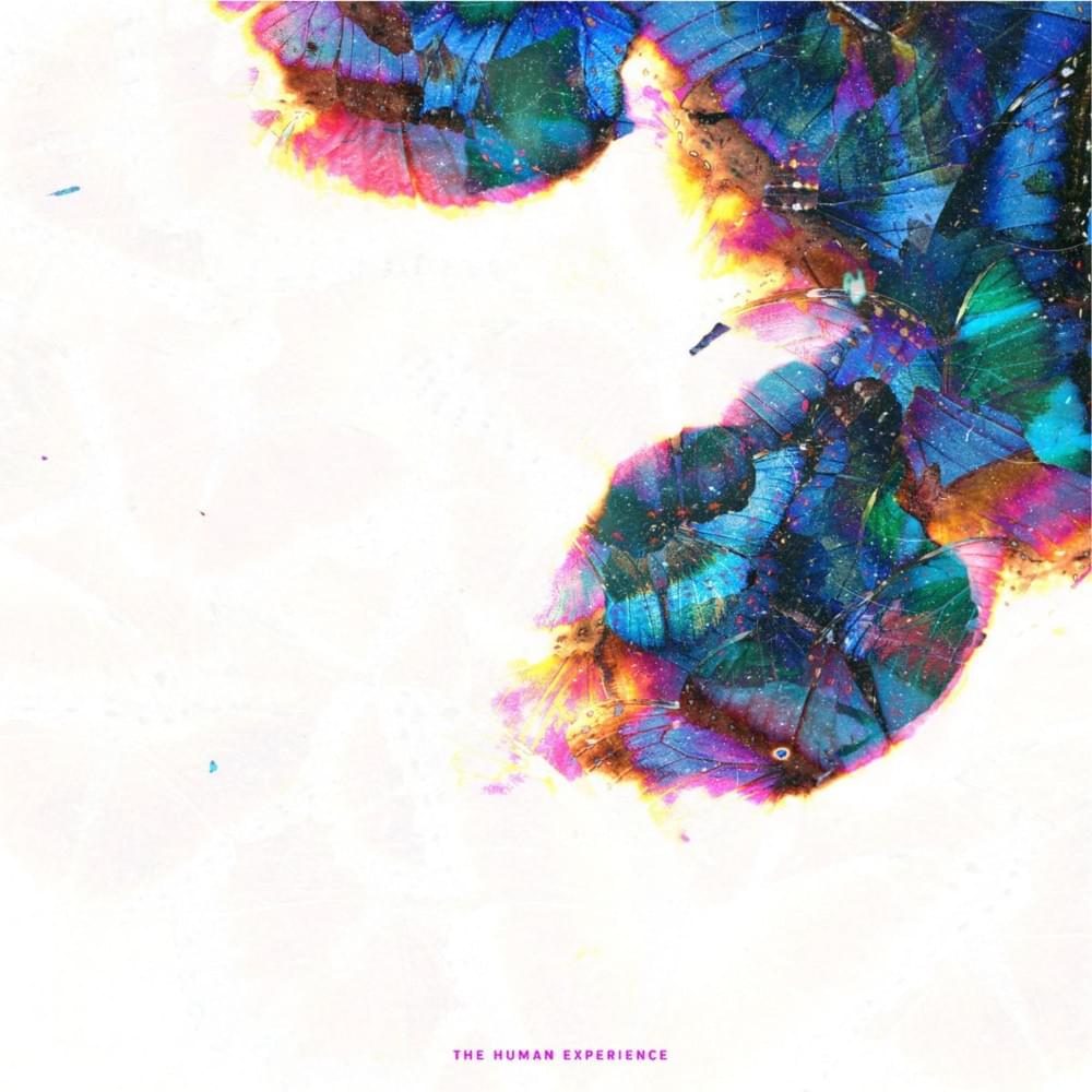 Scars by Paul the Messenger
