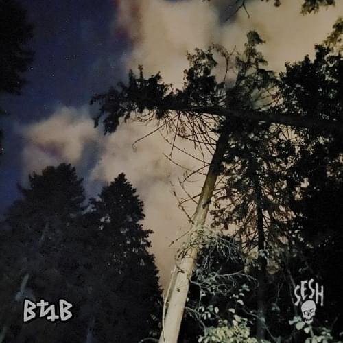 Album cover art for "4721" by Vegard