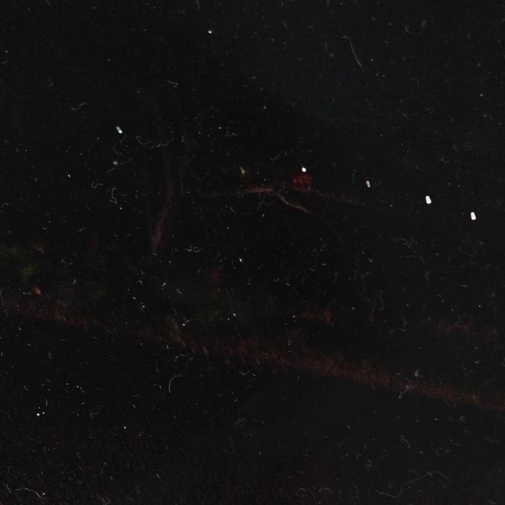 Cover image for Exitium