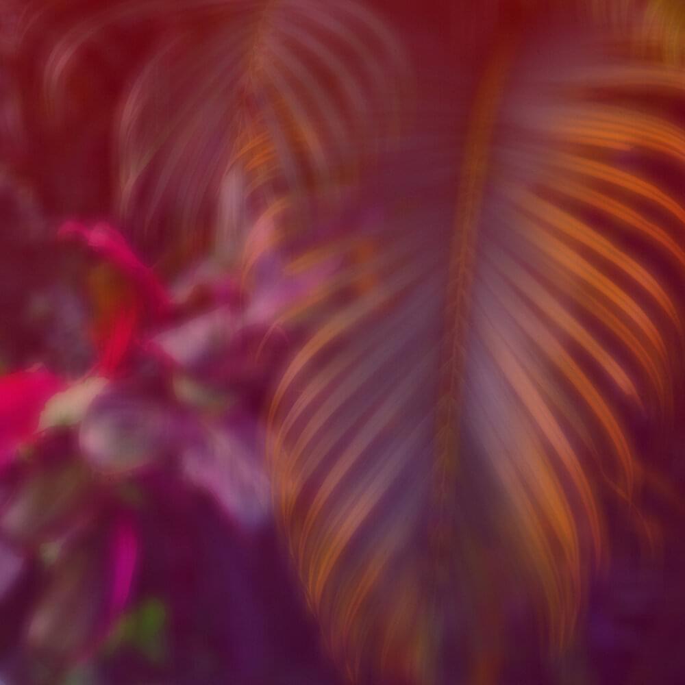 Pala by Sirens of Lesbos
