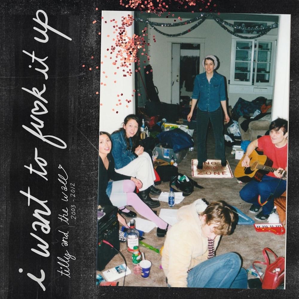 Cover image for I Want To F*ck It Up (Tilly And The Wall 2002-2013)