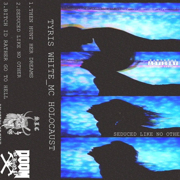 Cover image for SEDUCED LIKE NO OTHER