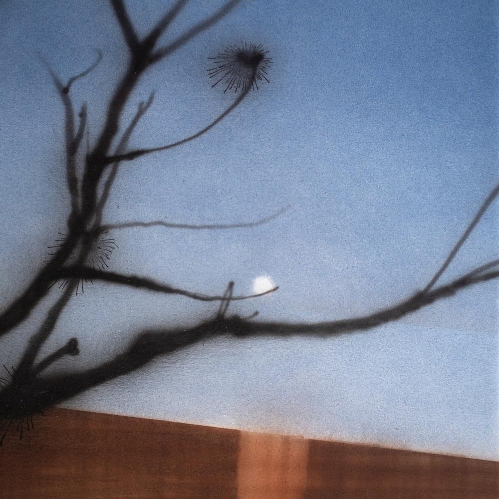 Album cover art for "Casualty" by Lontalius