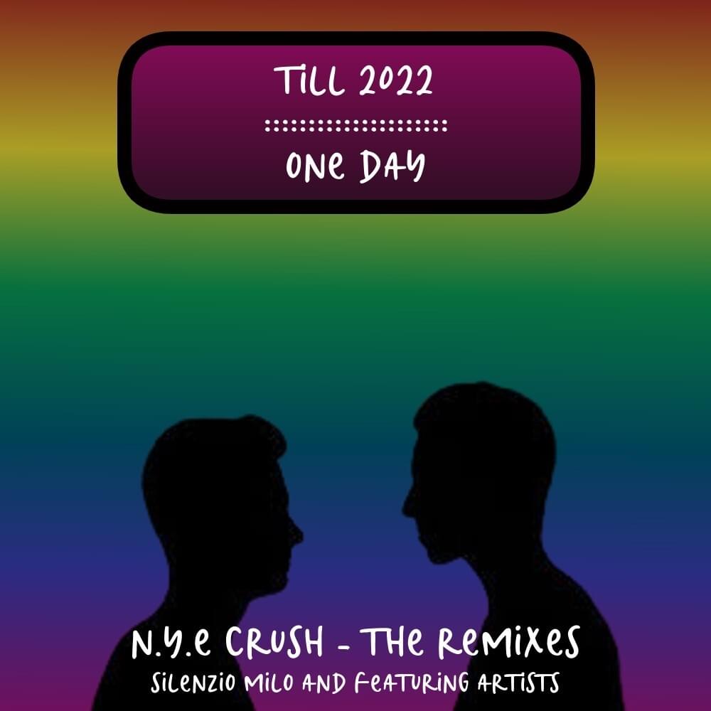 Cover image for new years crush